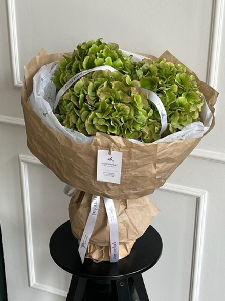 Моно букет из гортензии зеленого оттенка