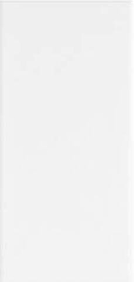 Adex Neri Liso PB Blanco Z 10x20