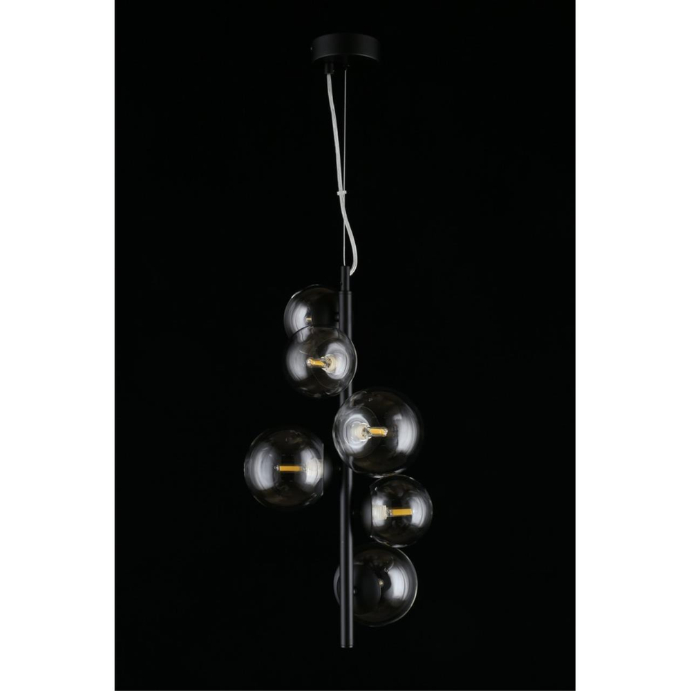 Подвесной светильник Aployt Feliche APL.334.06.06