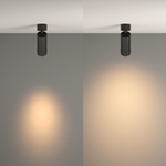 Накладной светодиодный светильник Maytoni Focus Zoom C055CL-L12W3K-Z-B