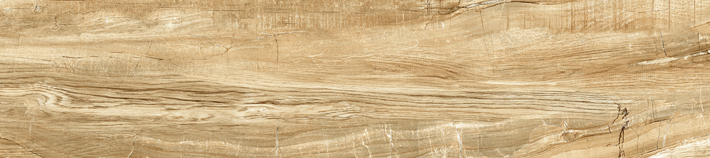 Вандервуд / Wonderwood