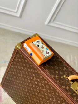 Louis Vuitton Pocket Organizer