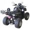 Квадроцикл ARMADA ATV150B