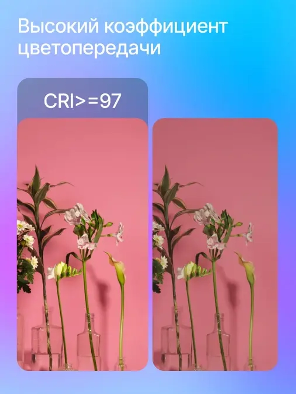 Осветитель светодиодный Raylab RL-100RGB 100W 5000mAh c аксессуарами