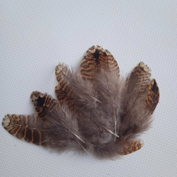 Перья вальдшнепа коричневые 6-9 см. 10 шт.