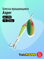 Блесна вращающаяся TauMANN Asper 9g#M65, 55мм