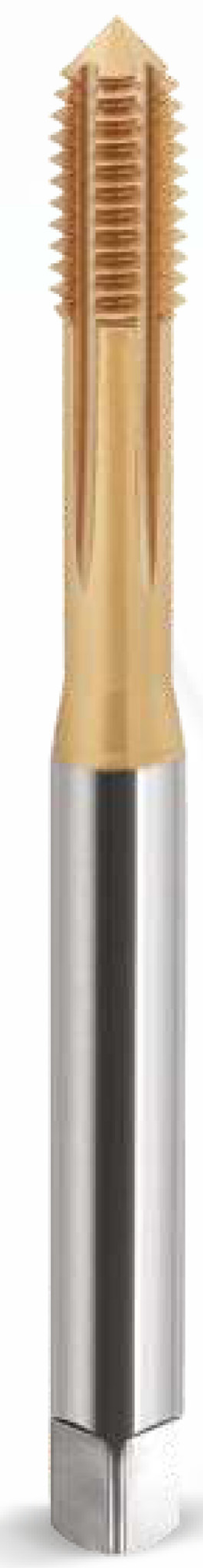 Метчик раскатник DIN-371-C M2 6HX HSSE/PM WGN TiN C4-923005-0020