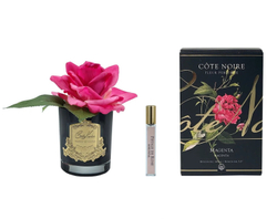 Диффузор Роза-диффузор FRENCH ROSE MAGENTA Cote Noire Черный / Золотой / Розовый