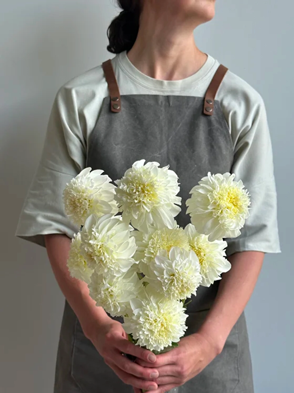 Георгин Zahra (корень) Закупка М55 апрель 2026