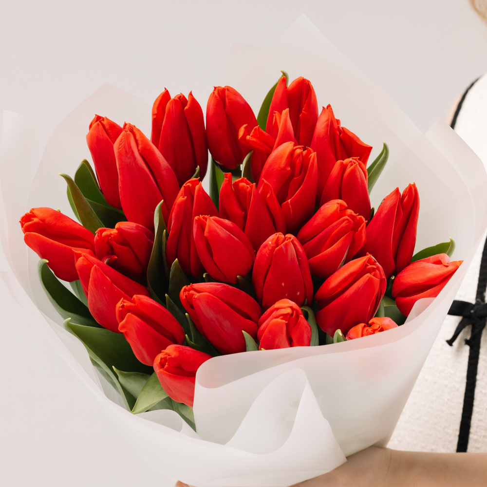 Моно-букет 25 алых тюльпанов