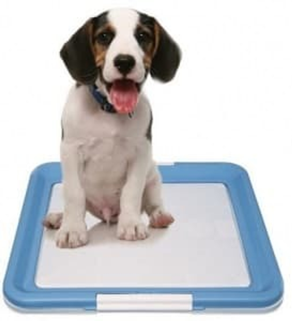 Туалет для собак средний 50*70см. (DOGMAN)