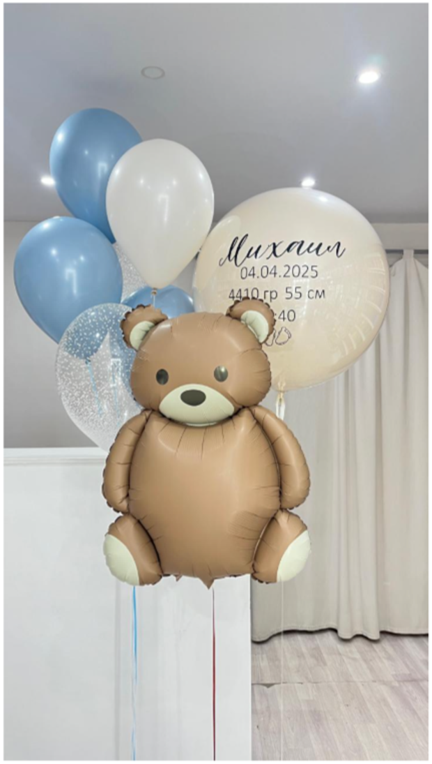 Шары на выписку №298