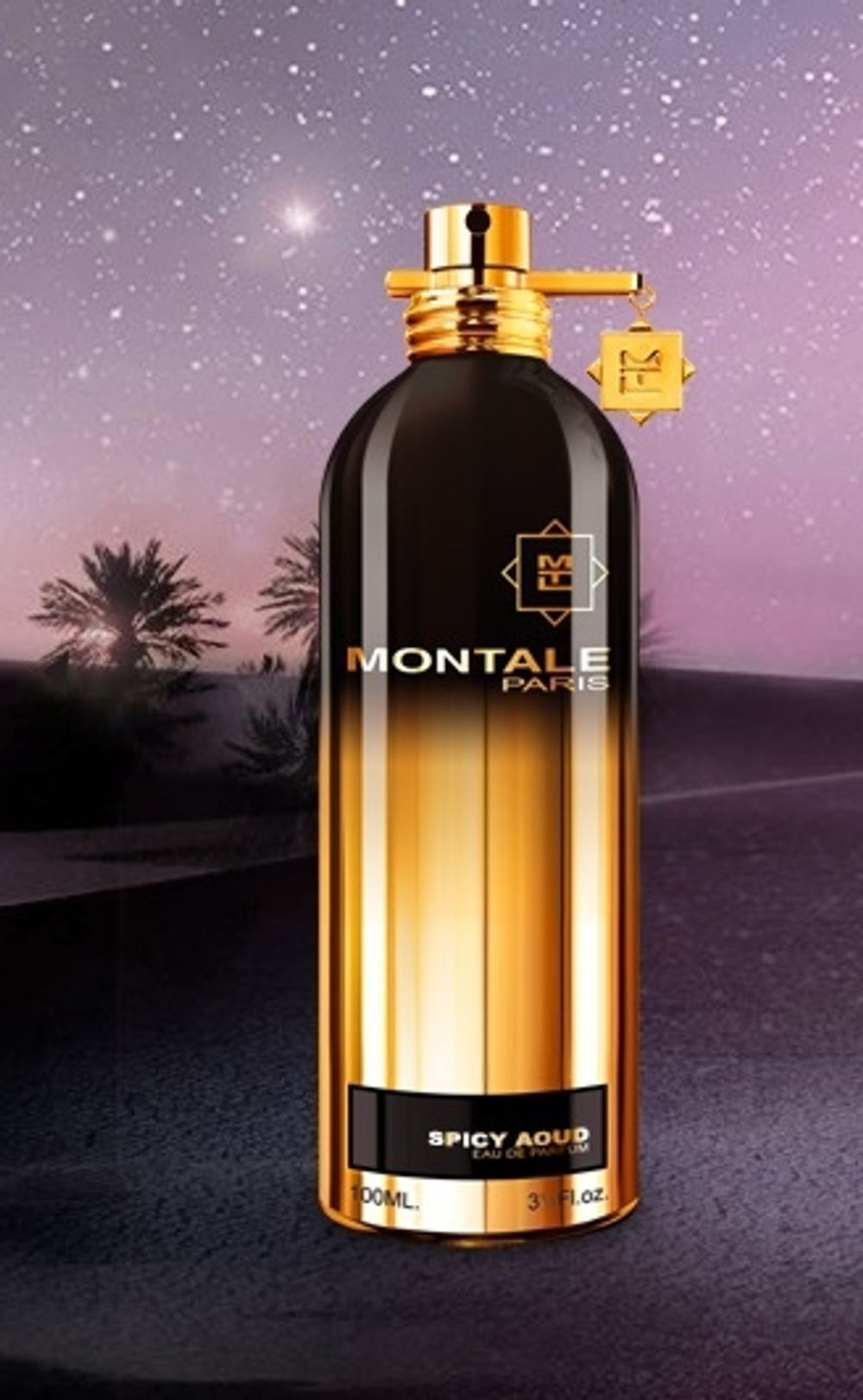 Montale Spicy Aoud