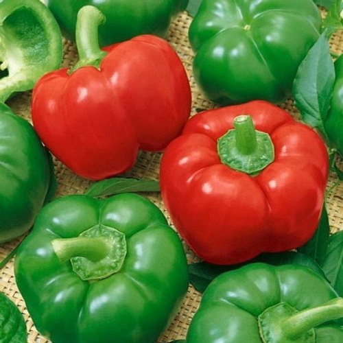 Перец сладкий Садовое кольцо F1