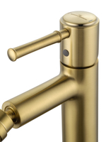 Смеситель для биде WONZON & WOGHAND TOR, Брашированное золото (WW-88016073-BG)