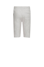 шорты GUESS ACTIVE - серый(L2RD03 KAIJ1)