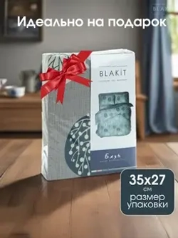 Комплект постельного белья БЛАКИТ 1.5 сп БЯЗЬ "Fashion 587002/587102" (нав. 70х70 или 50х70)
