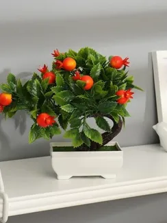 Бонсай в горшке "Деревце плодовое" 10х18 см