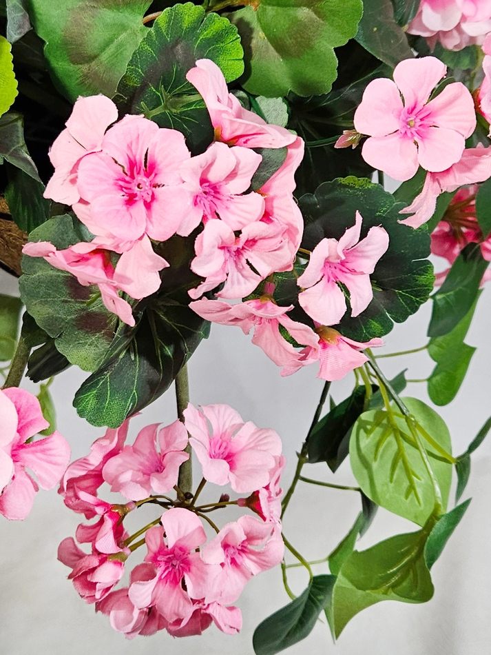 Пеларгония ампельная 4 куста розовая 65см в коковите на цепочках