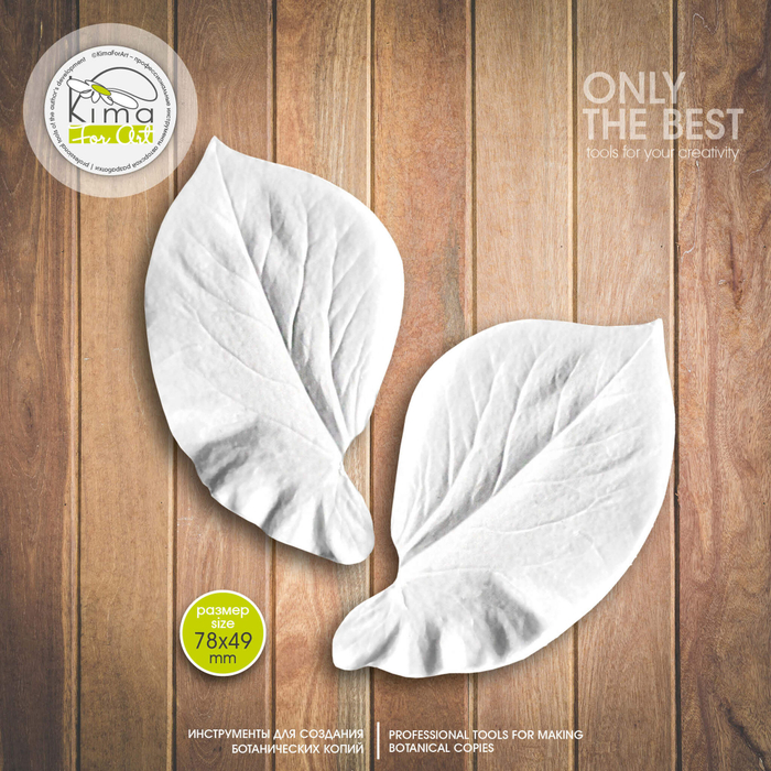 Душистый горошек лист большой