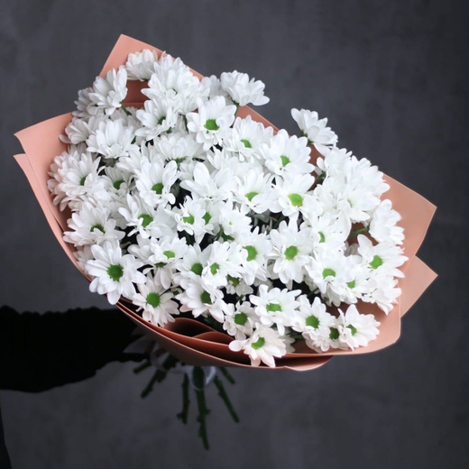 9 веток хризантемы "Ромашка" размер M