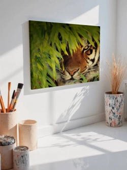 Картина на стену 40 X 50 Тигр