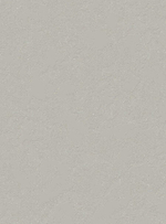 Сканди-22 (серая)