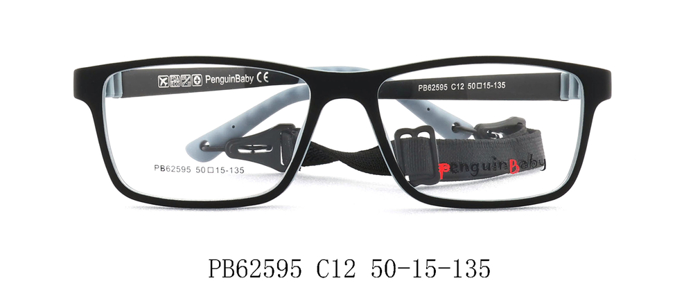 PB62595