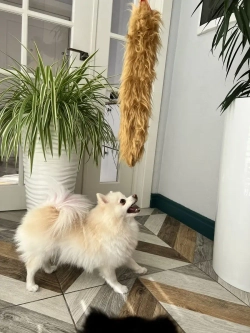 Игрушка для собак Ухватка перетяжка Меховой хвост 95 см