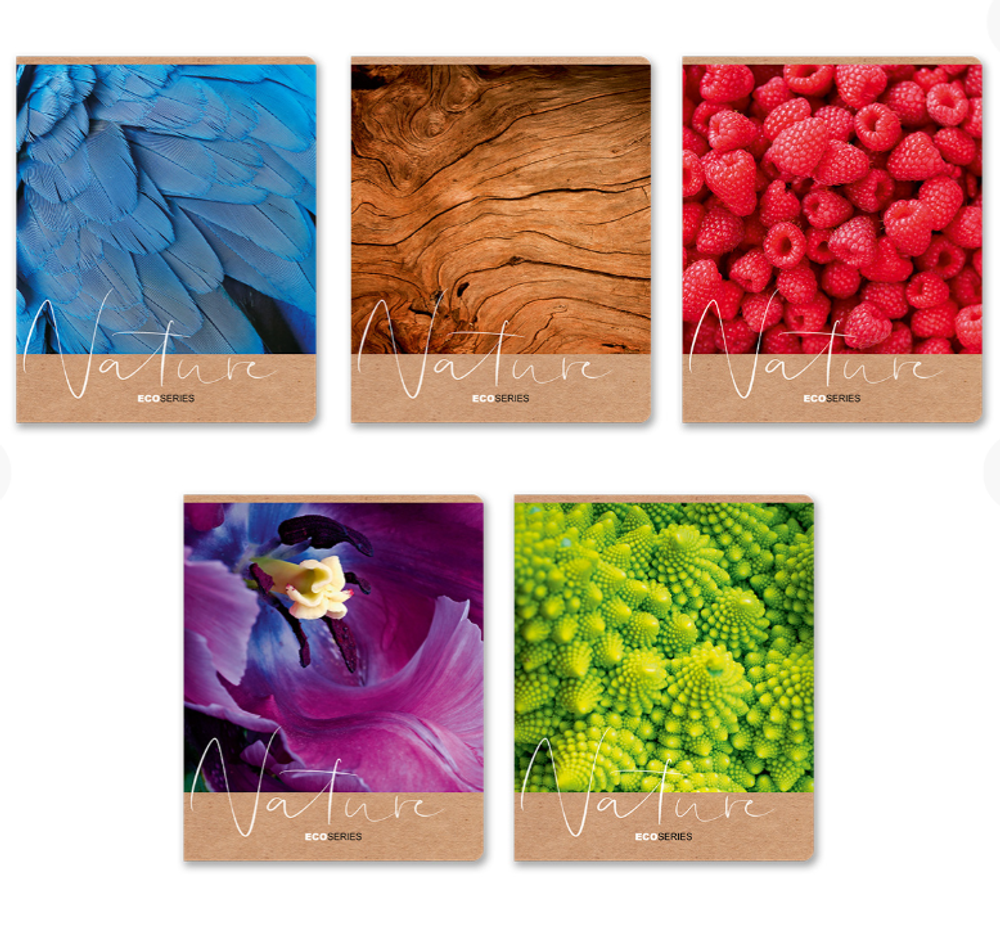 "Светоч" 96ТЕТк-003 Тетрадь ученическая общая, выборочный лак, A5 96 л. на скобе 60 г/кв.м , белизна 100 % 5 шт. клетка 000766 Ах, лето!