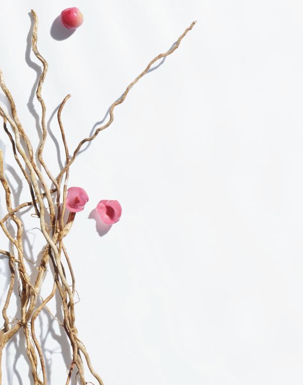 Carolina Herrera Vetiver Paradise