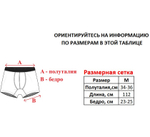 Трусы боксеры ED Hardy