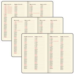 Ежедневник датированный А6 BRAUBERG "Iguana" (117252) 6