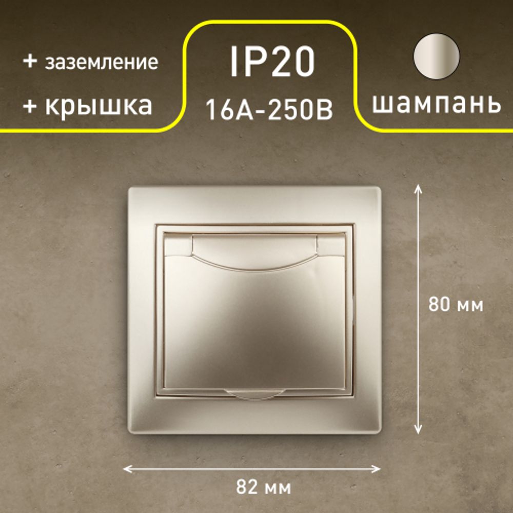 1-203-04 Intro Розетка 2P+E Schuko с крышкой, 16А-250В, IP20, СУ, Plano, шампань