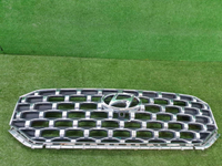 Решетка радиатора Hyundai Santa Fe 4 TM (20-24)