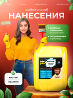 Антисептик универсальный бесцветный PaintPRO 5л