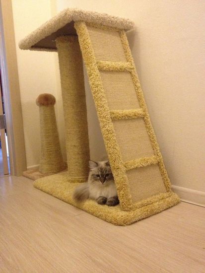 Когтеточка К-15