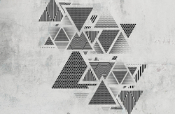 GEOMETRY 41