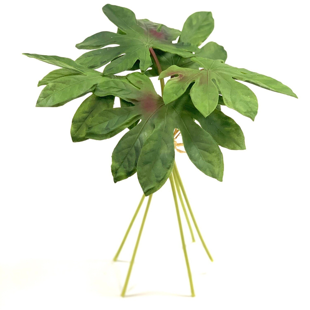 Аралия листья 5 шт