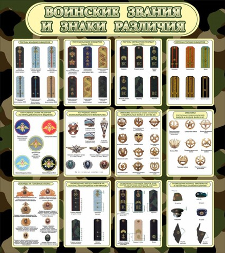 Стенд "Воинские звания и знаки различия"