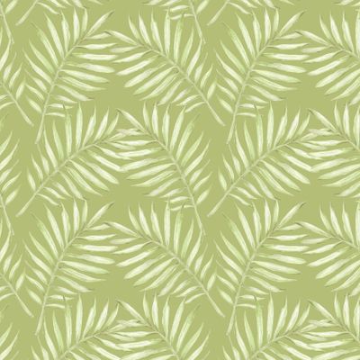 Пальмовая ветвь на зеленом фоне