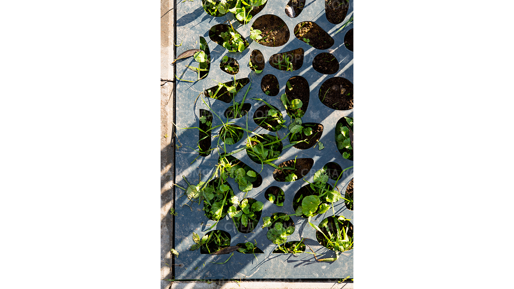 Защита дерева ART0013