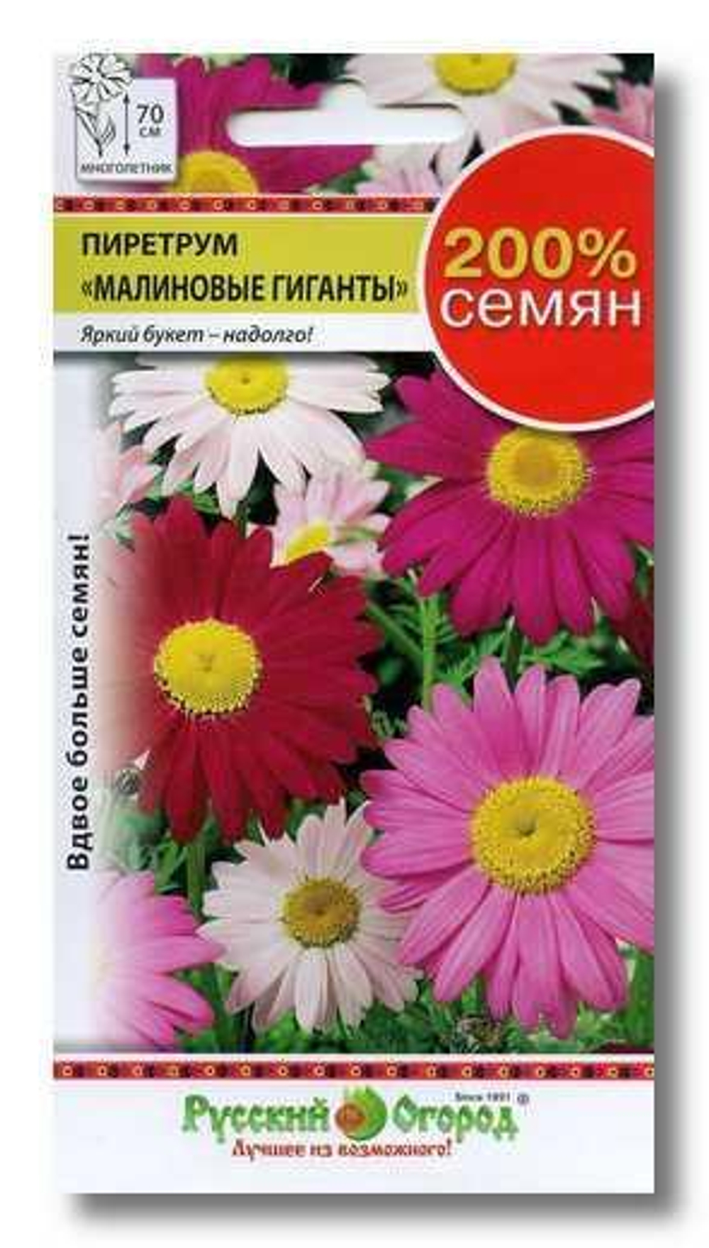 Семена Пиретрум Малиновые гиганты