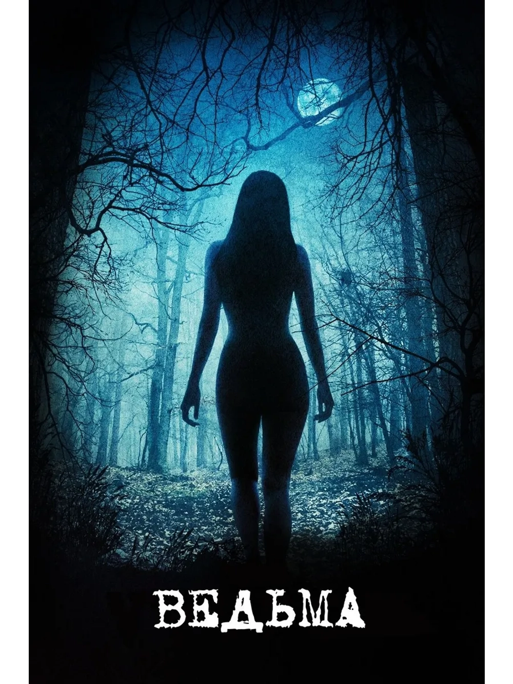 Ведьма (2015) (DVD-R)