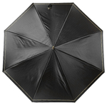 Зонт Fabretti UFD0017-30