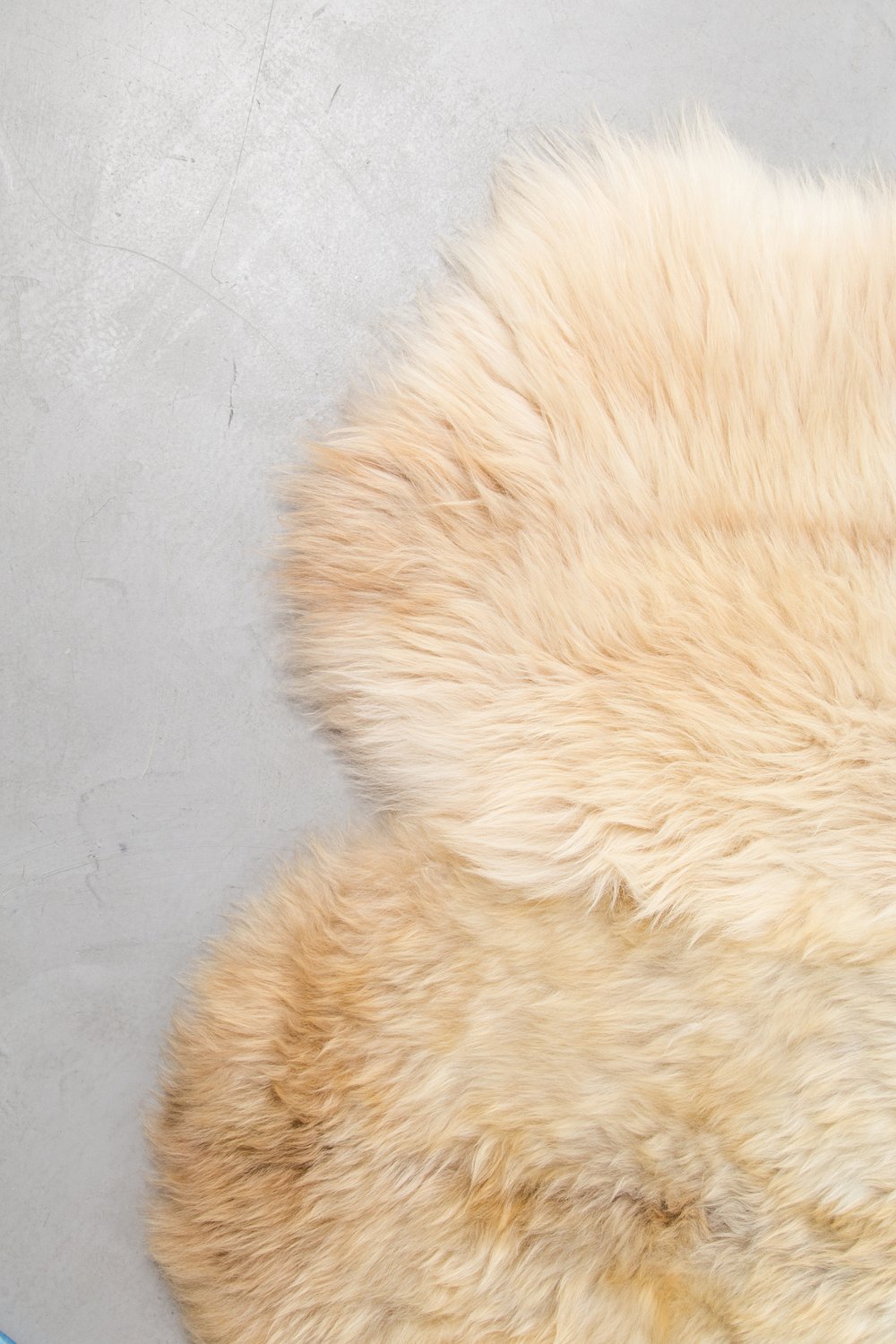 шкура декоративная