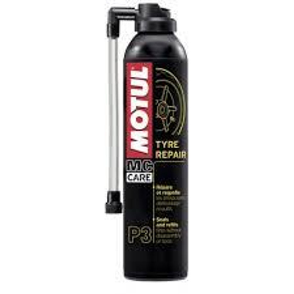 motul P3