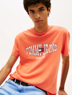 Футболка мужская TOMMY JEANS TJM REG LA WAVING FL