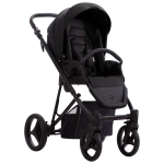 Коляска 2 в 1 Bebetto FLAVIO 10 (черный)