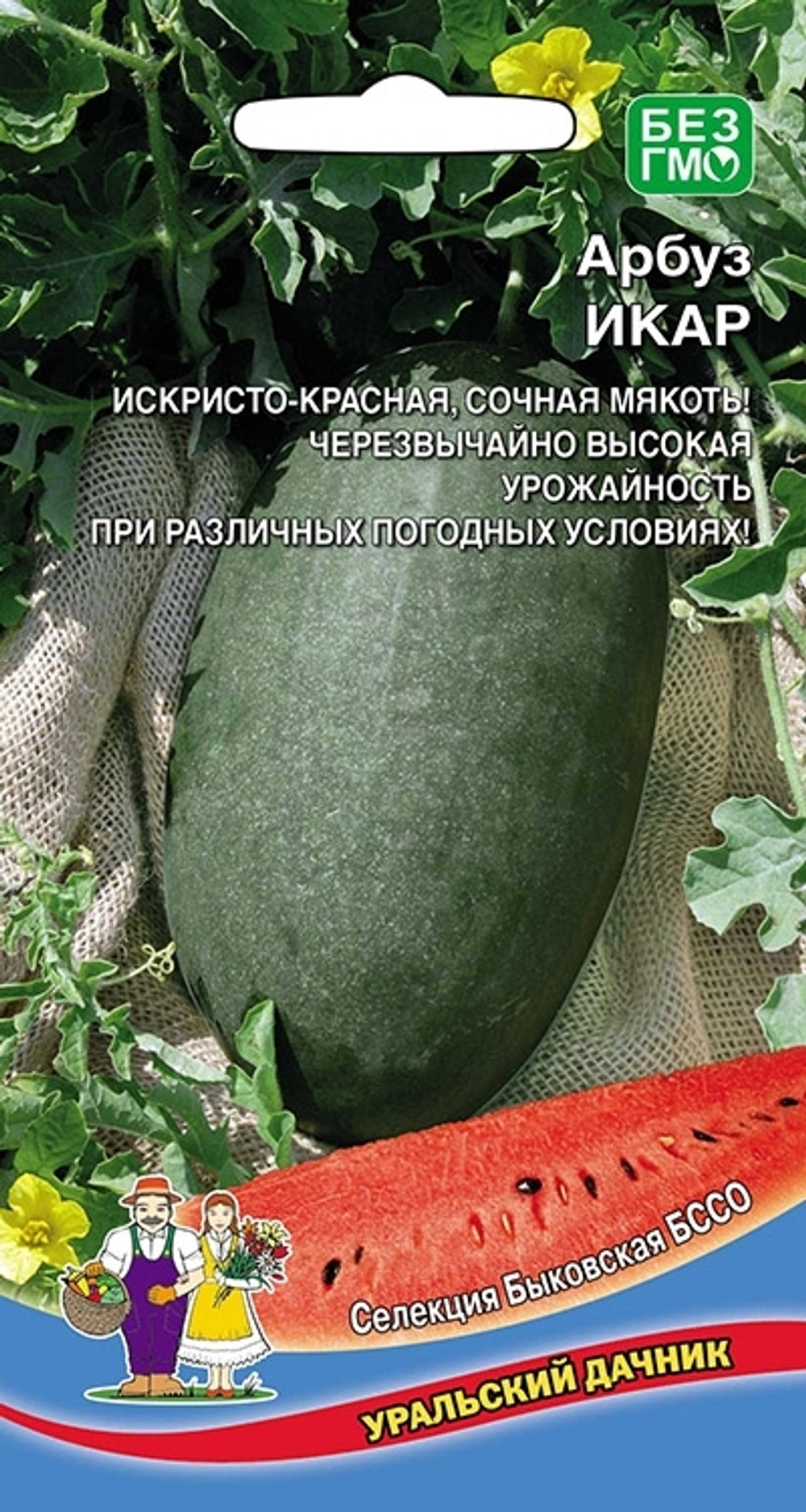 арбуз Икар
